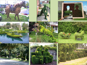 Topiary Art