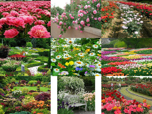 klicke hier, um die Datei herunterzuladen Beautiful Garden 6