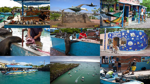 Puerto Ayora Galapagos.E.