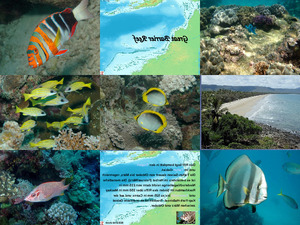 Australia-Great Barrier Reef