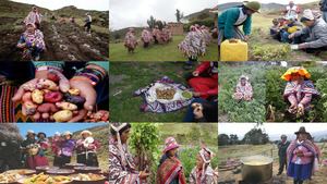 Peru Potato Park.E.