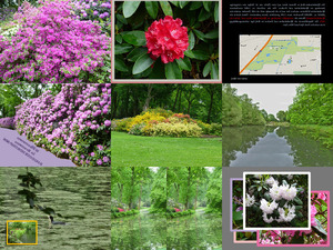 Rhododendronpark in Bremen