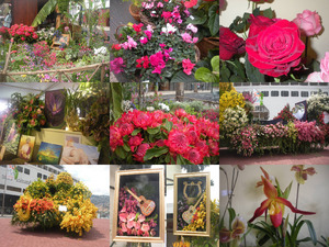 klicke hier, um die Datei herunterzuladen Fest der Blumen