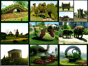 klicke hier, um die Datei herunterzuladen Chinese plantart