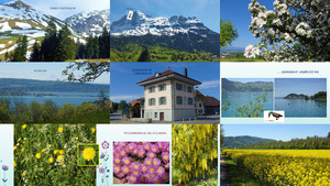 klicke hier, um die Datei herunterzuladen Bilder Mix Mai