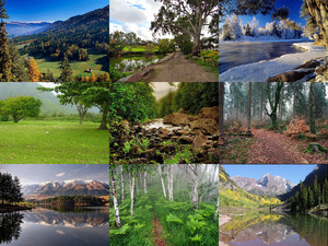 klicke hier, um die Datei herunterzuladen Natur pur - Nr.80