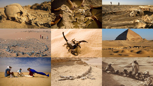 Was verbirgt sich die Sahara