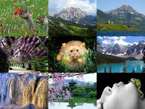 klicke hier, um die Datei herunterzuladen Fotos Naturschonheiten1