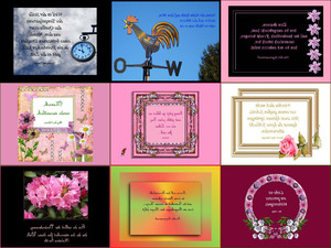 Bilder mit Sprueche 2