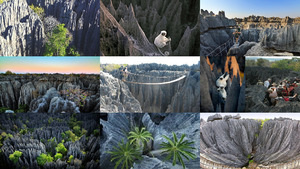 klicke hier, um die Datei herunterzuladen Madagaskar Nationalpark.E.