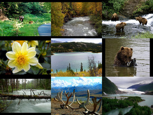 klicke hier, um die Datei herunterzuladen USA-ALASKA