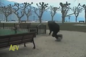 Sport tut weh