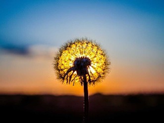 klicke hier, um die Datei herunterzuladen in ruhigen stunden das richtige licht