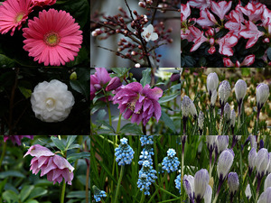 klicke hier, um die Datei herunterzuladen Springtime - Frühling