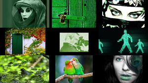 klicke hier, um die Datei herunterzuladen The colour green - die Farbe Grün