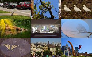 klicke hier, um die Datei herunterzuladen San Francisco 1-D