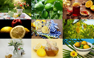 klicke hier, um die Datei herunterzuladen Lemons 1 - Zitronen