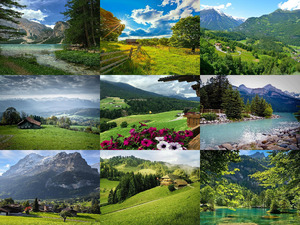 klicke hier, um die Datei herunterzuladen Natur Feeling 2