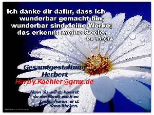 klicke hier, um die Datei herunterzuladen A331-Worte aus der Bibel