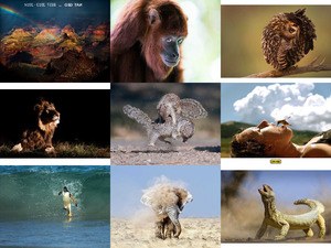 National Geographic - die schnsten Fotos 2013-2014