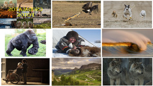 klicke hier, um die Datei herunterzuladen Wunderbare Fotos