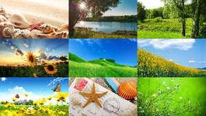 Sommer-14.ppsx auf www.funpot.net