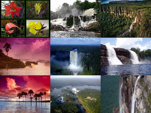 Nationalpark Canaima Venezula