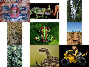 klicke hier, um die Datei herunterzuladen Bodypainting