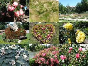 Wunderschoener Blumenpark