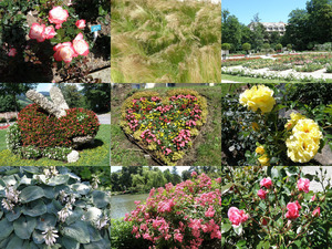 klicke hier, um die Datei herunterzuladen Wunderschoener Blumenpark