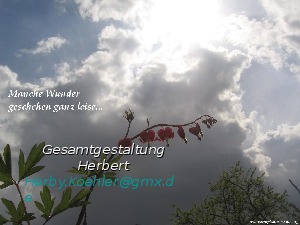 klicke hier, um die Datei herunterzuladen A364 Worte aus der Bibel