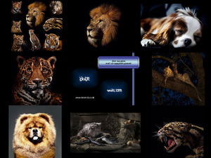 Desktop Wallpaper 01-Tiere