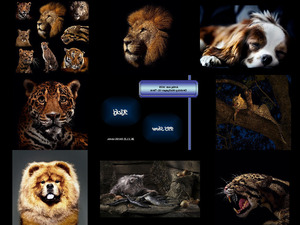 klicke hier, um die Datei herunterzuladen Desktop Wallpaper 01-Tiere