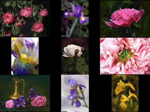 klicke hier, um die Datei herunterzuladen Recuerdos - Norma Aleca - Blumen Stilleben