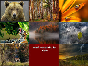 klicke hier, um die Datei herunterzuladen allpicturesfromweb