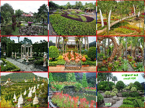 klicke hier, um die Datei herunterzuladen Aldo.Nong Nooch-Pattaya-Thailande