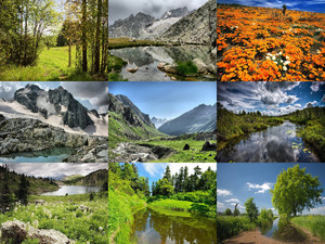 klicke hier, um die Datei herunterzuladen Natur pur - Nr.98