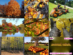 klicke hier, um die Datei herunterzuladen Indian Summer