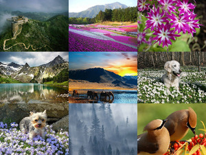klicke hier, um die Datei herunterzuladen Natur-Bilder