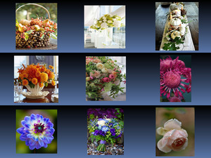 klicke hier, um die Datei herunterzuladen Beautiful Blumen