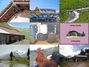 klicke hier, um die Datei herunterzuladen Bilder-Galerie vom 21082016 2 Wallis