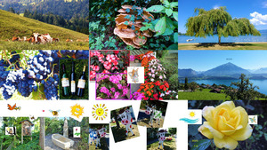 BILDER MIX SEPTEMBER