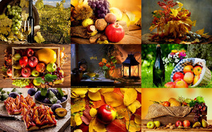 klicke hier, um die Datei herunterzuladen Autumn Still Life 3 - Judy - Herbst Stillleben 3