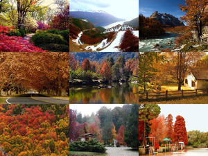 klicke hier, um die Datei herunterzuladen Argentinas Herbst