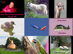 klicke hier, um die Datei herunterzuladen Bilder-Galerie
