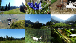 klicke hier, um die Datei herunterzuladen Bregenzerwald