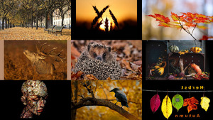klicke hier, um die Datei herunterzuladen Herbst - Autumn