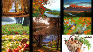 klicke hier, um die Datei herunterzuladen Herbstimpressionen