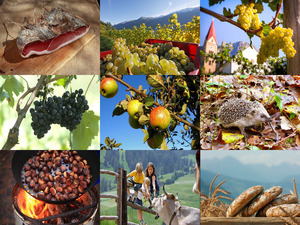 klicke hier, um die Datei herunterzuladen Südtiroler Herbstgrüße