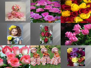 klicke hier, um die Datei herunterzuladen Beautyful Beauty